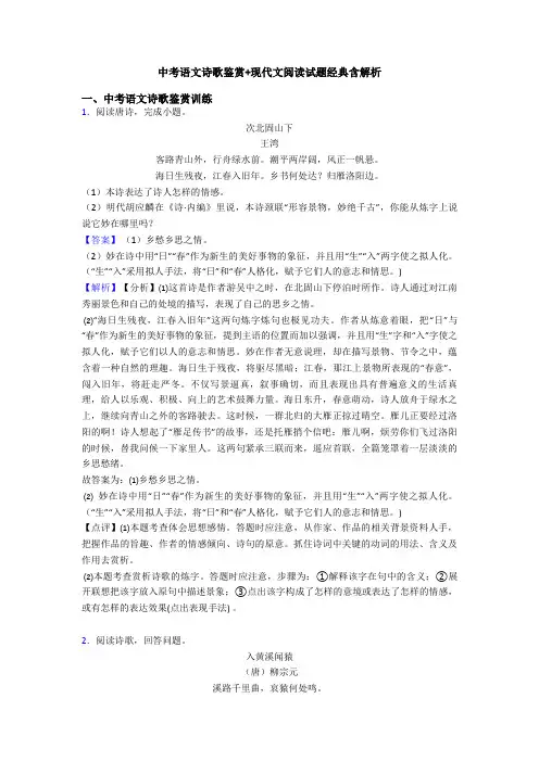 中考语文诗歌鉴赏+现代文阅读试题经典含解析