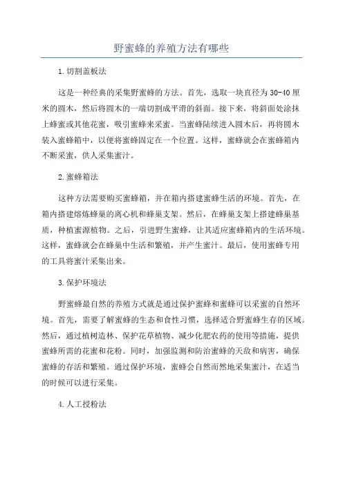 野蜜蜂的养殖方法有哪些
