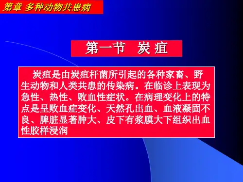 炭疽杆菌病 PPT课件
