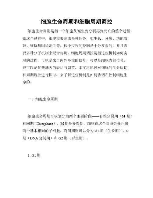 细胞生命周期和细胞周期调控