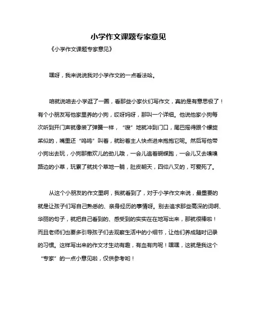 小学作文课题专家意见