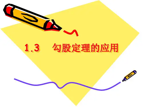 北师大版八年级上册-1.3-勾股定理的应用-课件(共23张PPT)