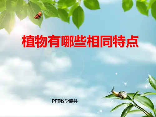 1.7植物有哪些相同特点PPT课件(1)