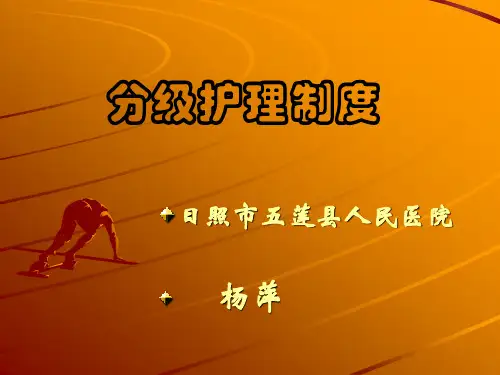 分级护理制度ppt