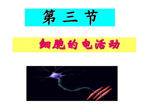 生理学：第二章 3节细胞的电活动