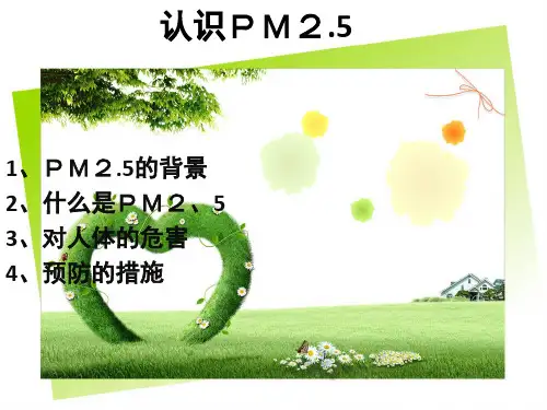 大气中的PM2.5以及对人体的危害ppt医学课件