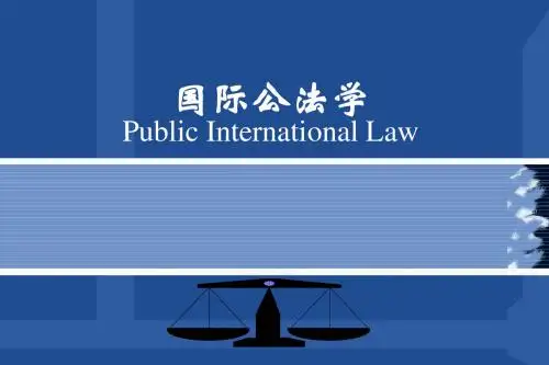 国际公法学(第七章)
