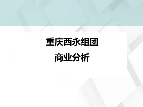 重庆西永组团商业分析