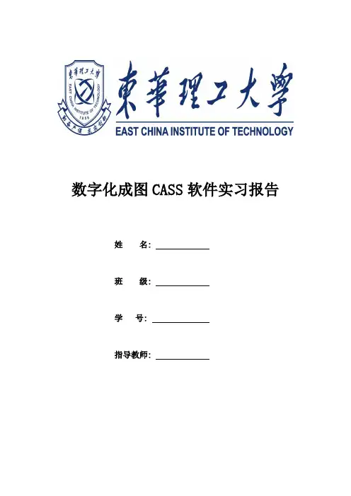 cass实习