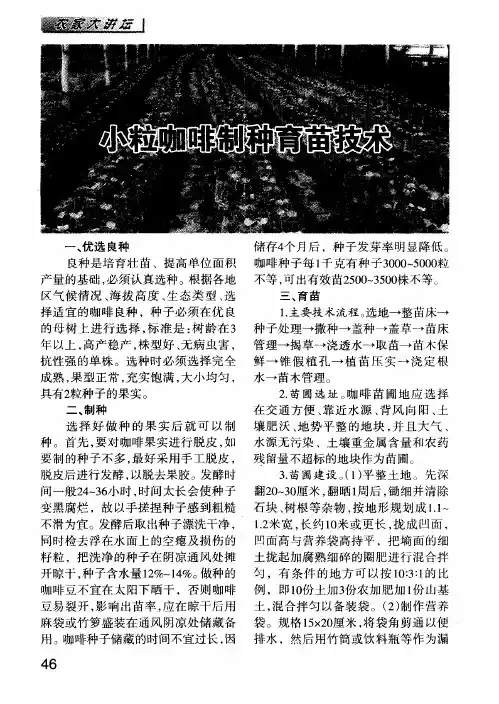 小粒咖啡制种育苗技术