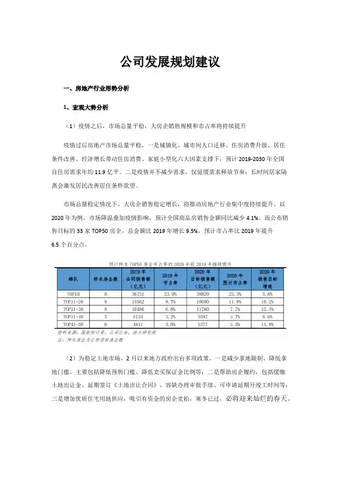 公司战略发展规划建议