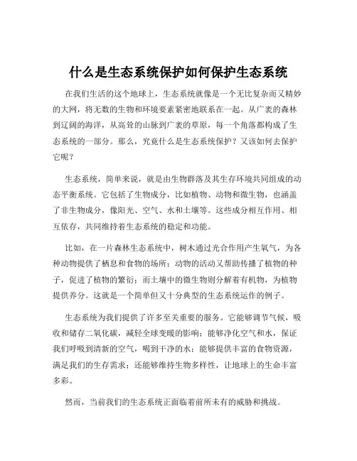 什么是生态系统保护如何保护生态系统