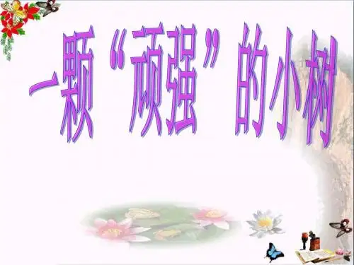 六年级科学上册1.1一棵顽强的小树 PPT精品课件2湘教版