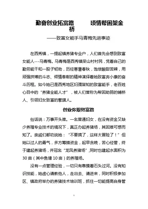 致富女能手马青梅先进事迹