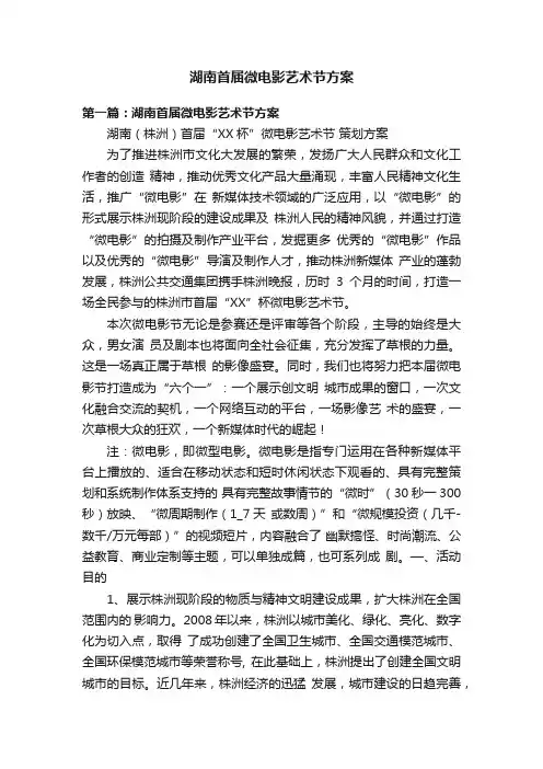 湖南首届微电影艺术节方案
