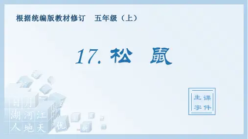 小学语文部编版五年级上册《17.松鼠》生字课件