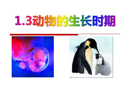 浙教版七年级科学下册 (动物的生长时期)教学课件