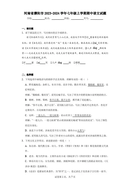 河南省濮阳市2023-2024学年七年级上学期期中语文试题
