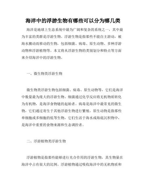 海洋中的浮游生物有哪些可以分为哪几类