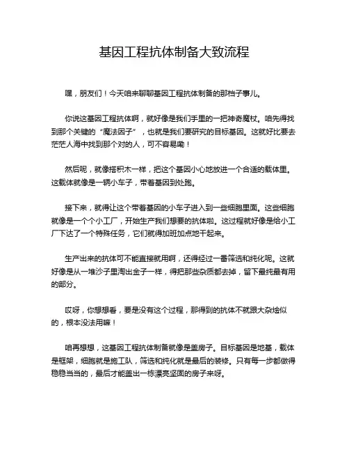 基因工程抗体制备大致流程