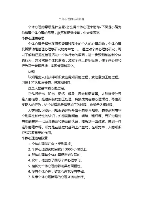 个体心理的名词解释
