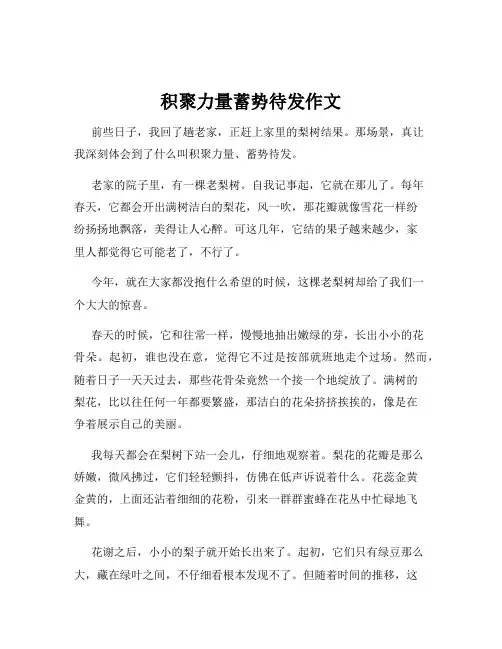 积聚力量蓄势待发作文