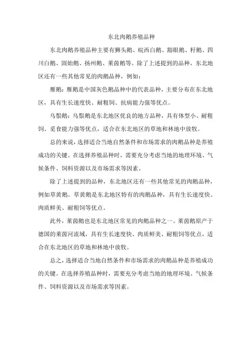 东北肉鹅养殖品种