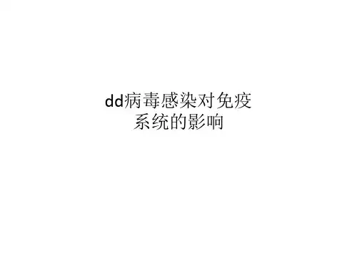 dd病毒感染对免疫系统的影响