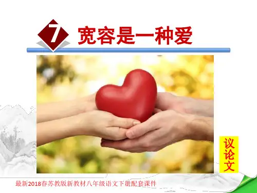 宽容是一种爱PPT