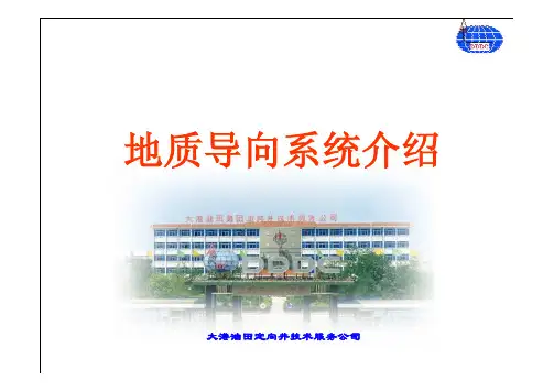 LWD应用技术