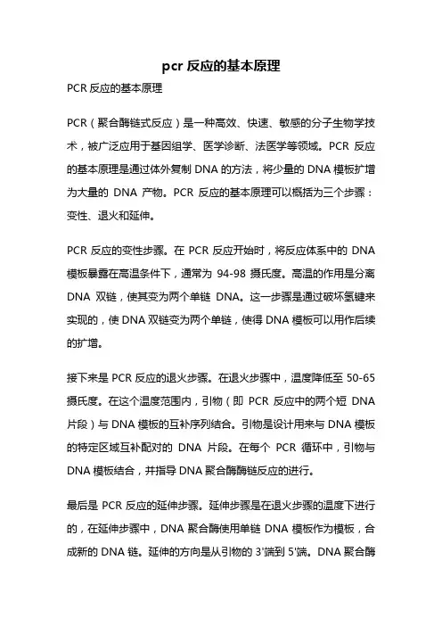 pcr反应的基本原理