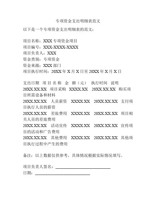 专项资金支出明细表范文