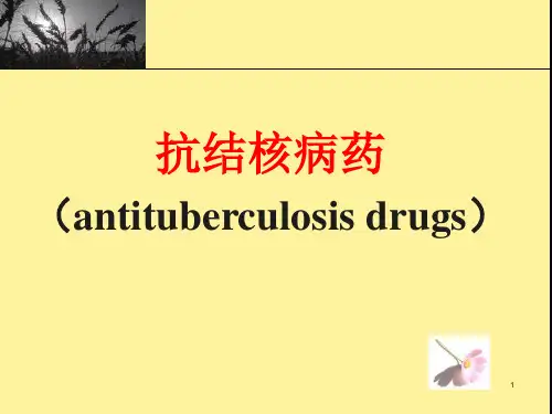 药理学第36章_抗结核药