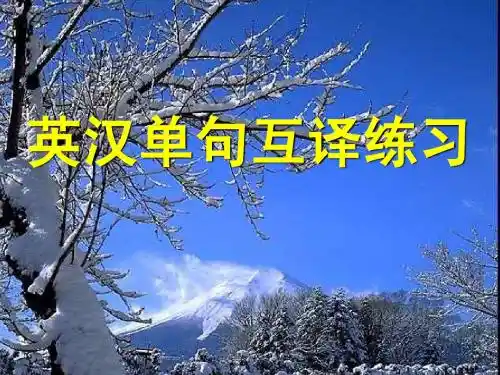 高三英语课件：高三英语上学期翻译练习