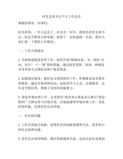 村党支部书记个人工作总结