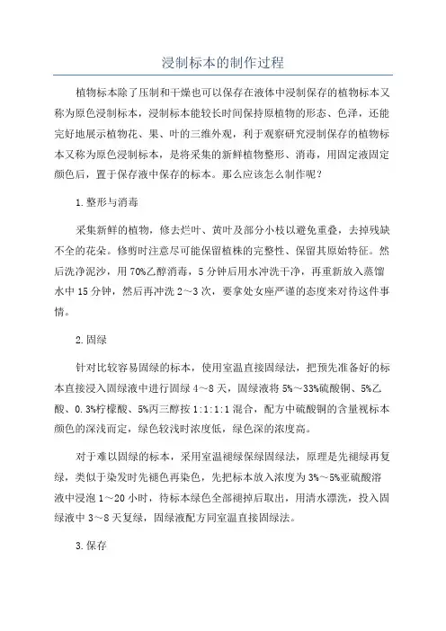 浸制标本的制作过程