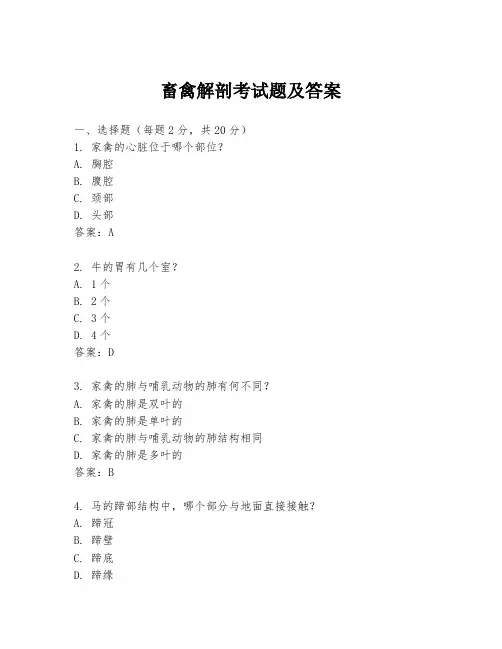 畜禽解剖考试题及答案