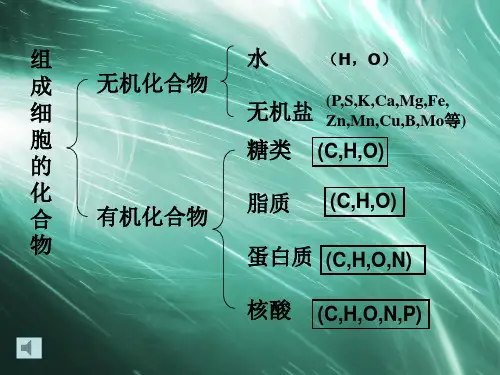 组成细胞的化合物