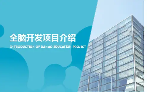 全脑开发项目介绍模板PPT课件