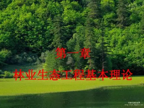第一章 林业生态工程的基本理论