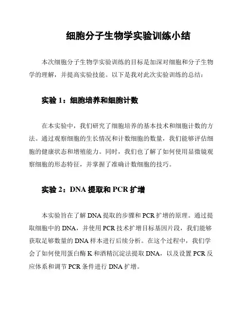 细胞分子生物学实验训练小结