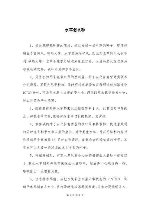 水草怎么种
