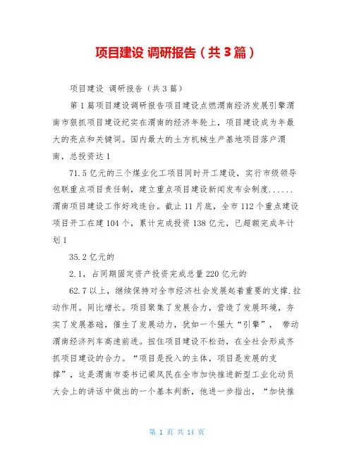 项目建设 调研报告(共3篇)