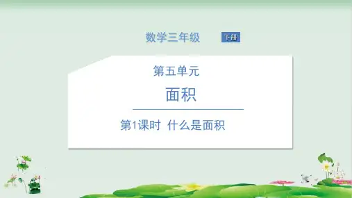三年级下册数学精品课件：什么是面积(北师大版)