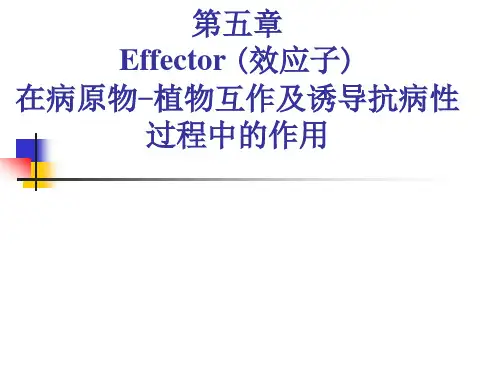 第五章植物-病原互作过程中效应子的作用