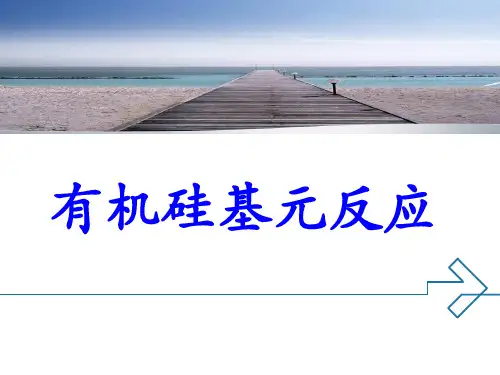 有机硅化学反应PPT课件(2024版)