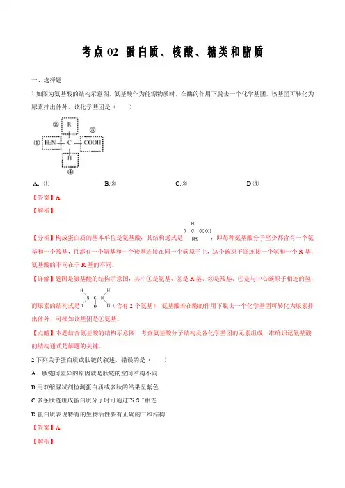 考点02 蛋白质、核酸、糖类和脂质-2020年衔接教材新高三一轮复习生物(解析版)
