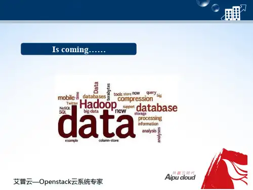 大数据时代培训资料(PPT 39张)
