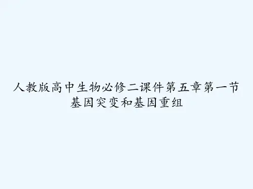 人教版高中生物必修二课件第五章第一节 基因突变和基因重组 PPT