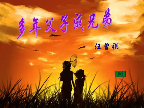 《多年父子成兄弟》课件